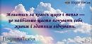 Вольниця shared a link.