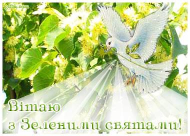 Вольниця shared Роман Дідик's photo.