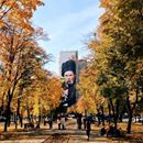 Вольниця shared Television channel «Ukraine»'s photo.