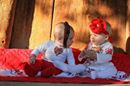 Вольниця shared Ольга Седова's photo.