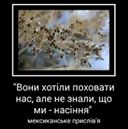 Вольниця shared Наталка Сердюк's photo.