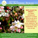 Вольниця shared Рух «За Затишну Землю» в рамках проекту Clean Up the World's photo.